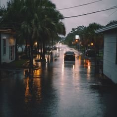 Florida Hurricane Season 2024 